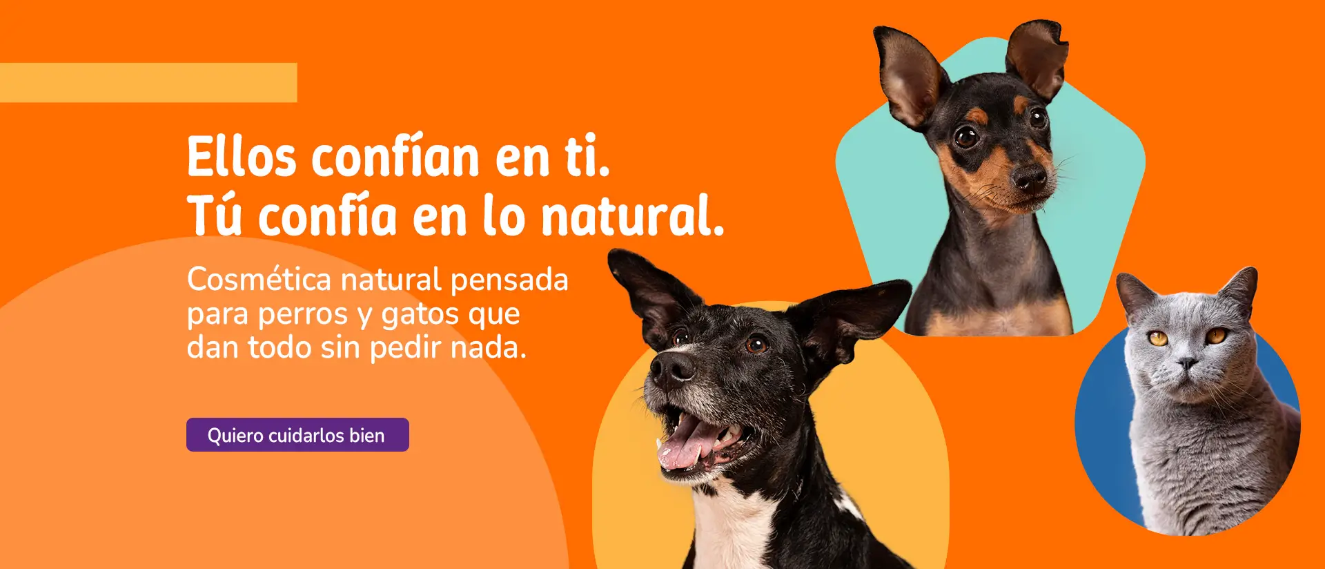 Productos de aseo para mascotas en Medellin, Magic Pet